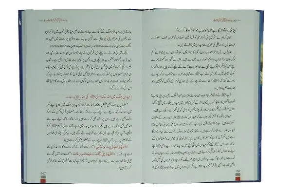 Naujawan Nasal key Lye Pyary Rasool (ﷺ) ki Sunehri Seerat 14x21 - Local