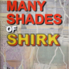 THE MANY SHADES OF SHIRK